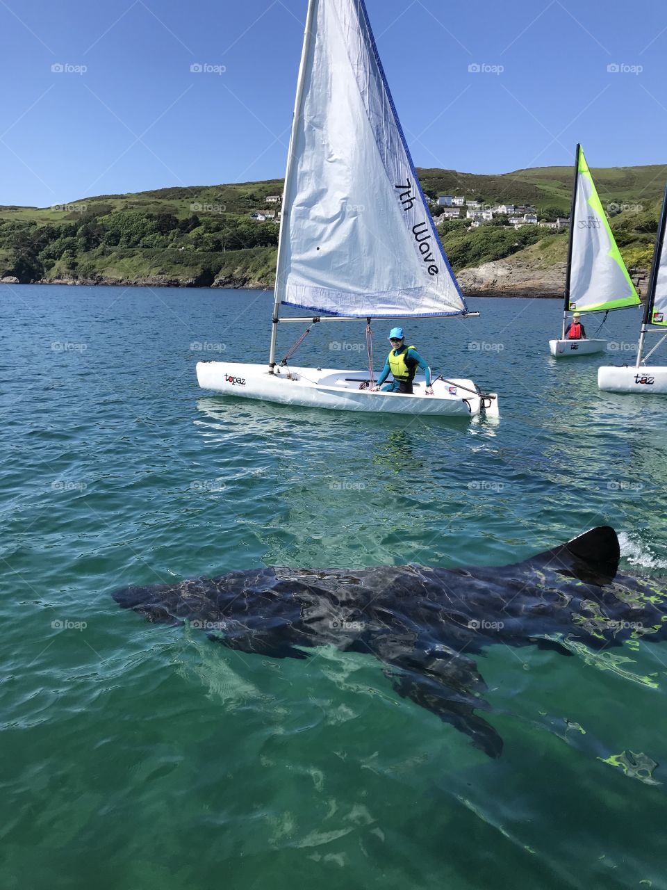Isle of Man - Basking shark - Summer - Water-sports - Sailing 