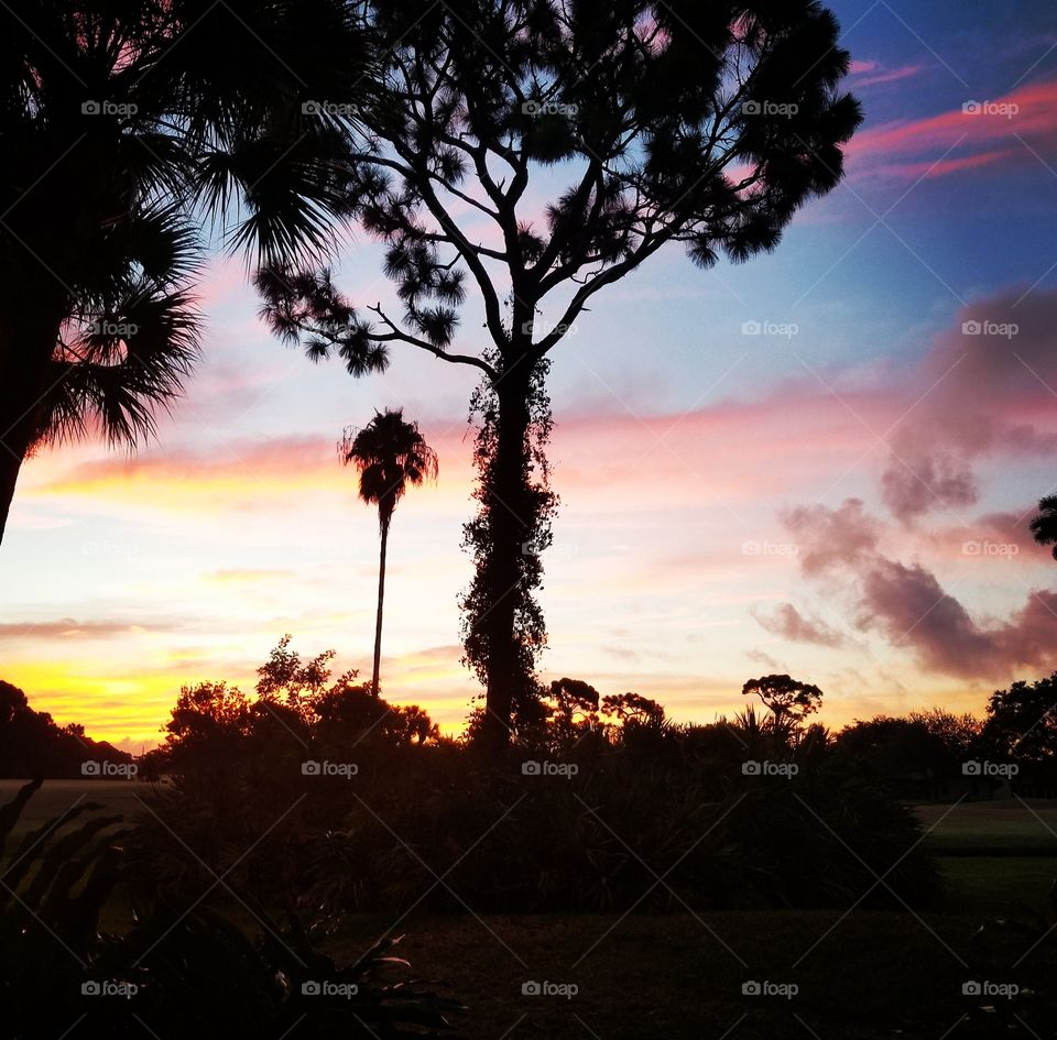 Summer Sunset Over Florida