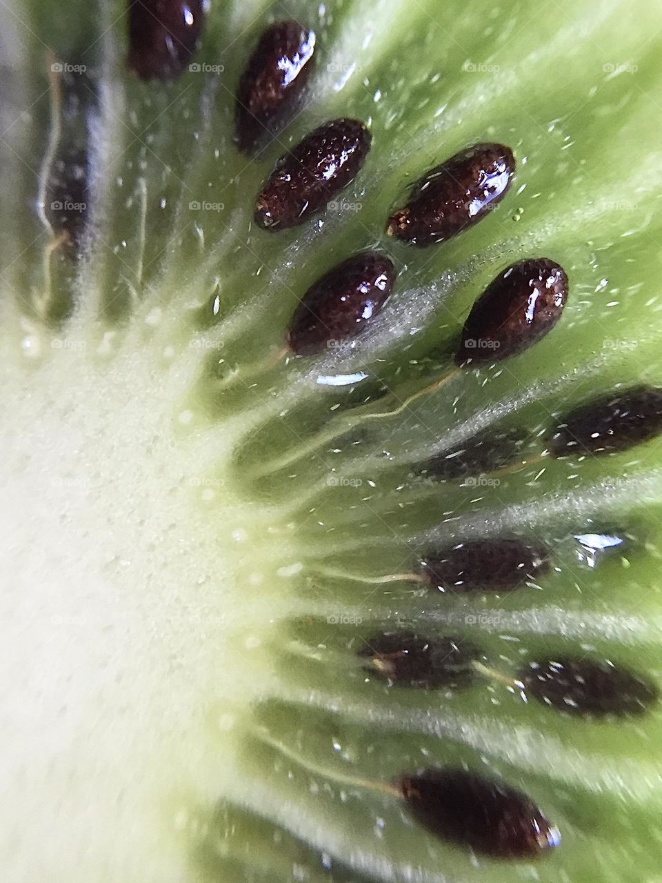 Kiwi macro