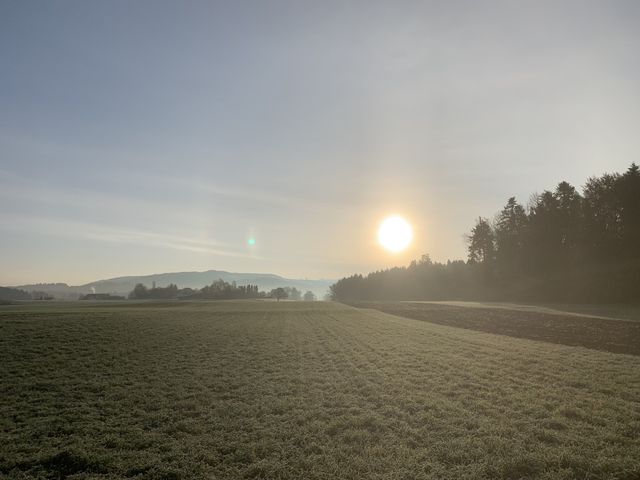 Village 