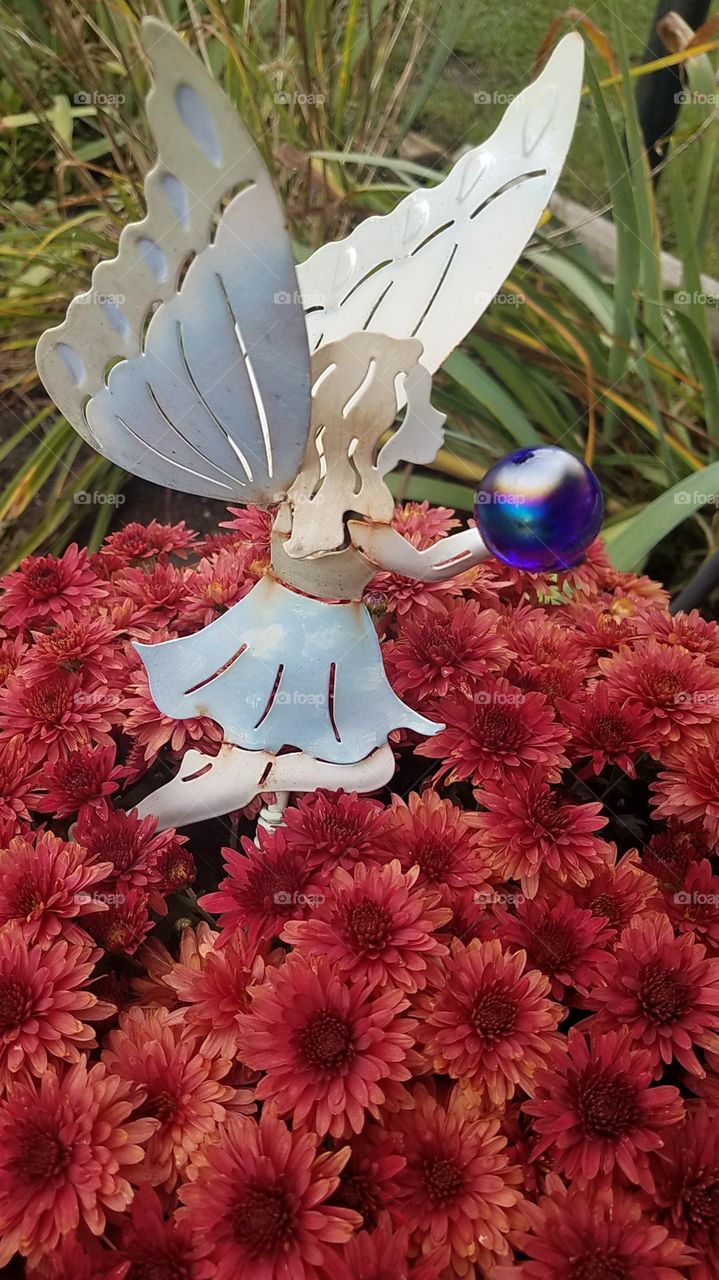 Fall Mums w/Fairy