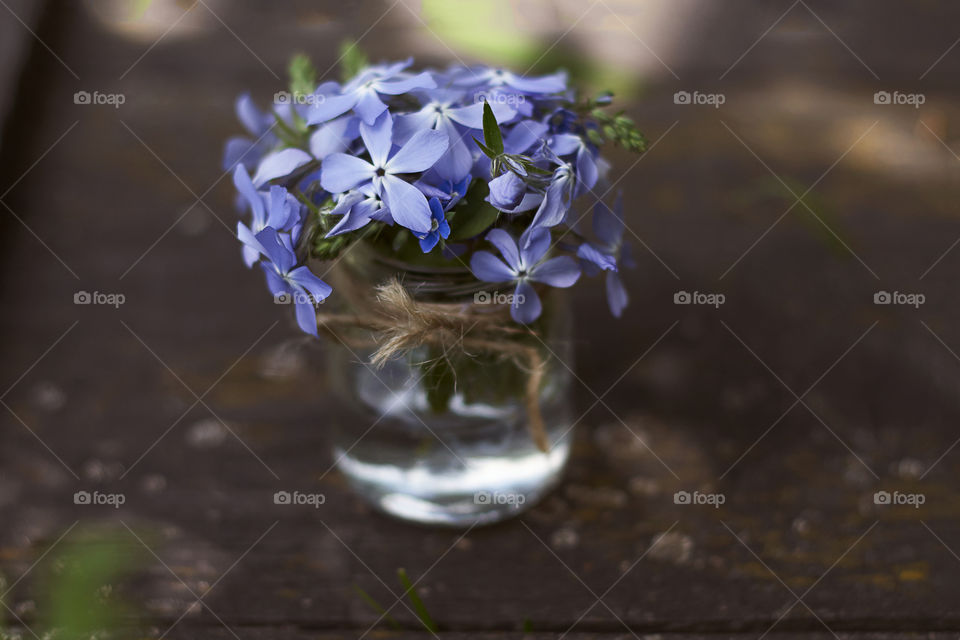 Flowers and vase 