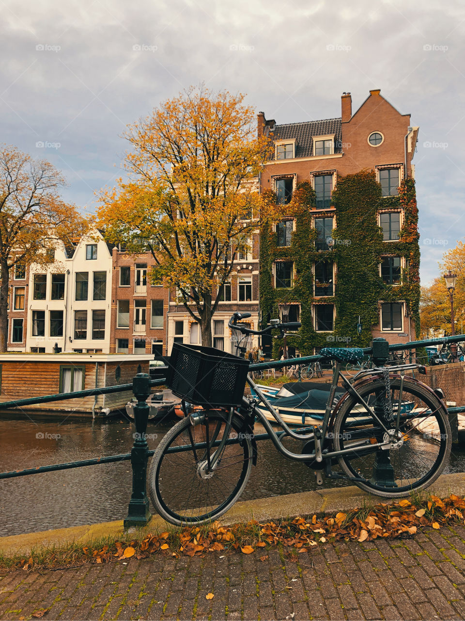 Amsterdam bike 🚲