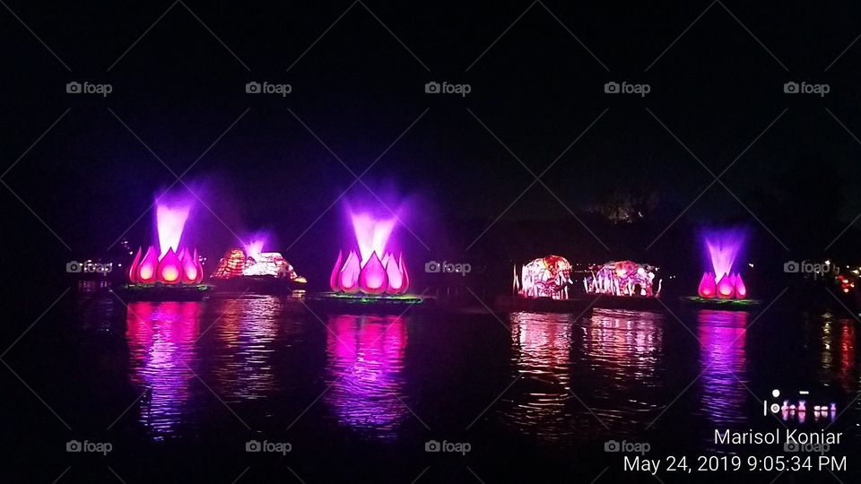 Disney's Animal Kingdom Theme Park Asia
Rivers of Light We are One