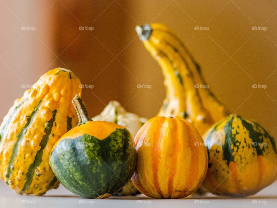 Small pumpkins