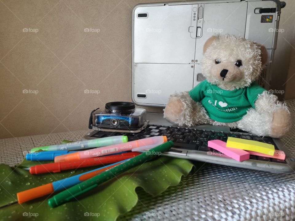 Work from my warmy home