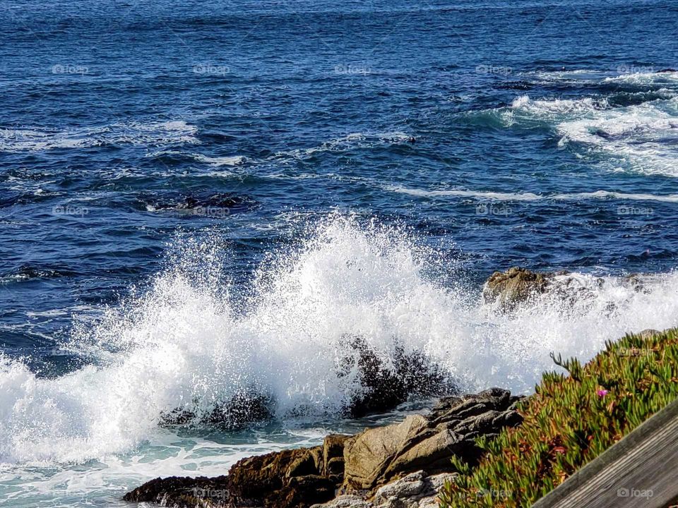 Pacific Ocean waves