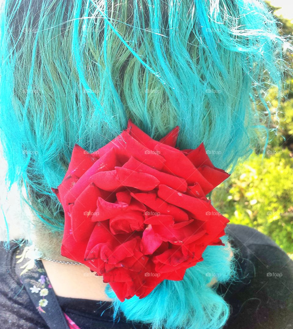 Blue Hair & Red Rose