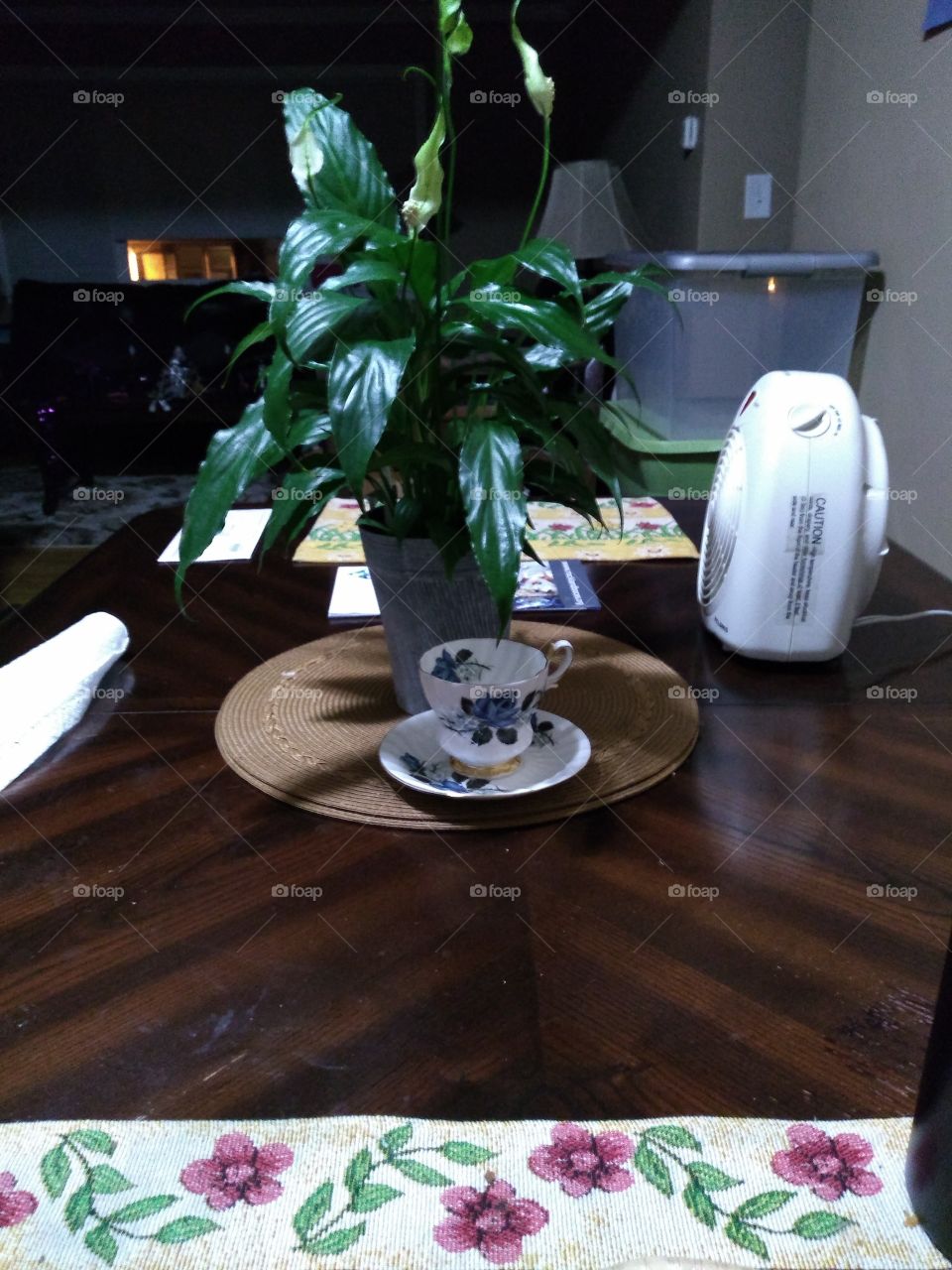 indoor plant with antique tea cup