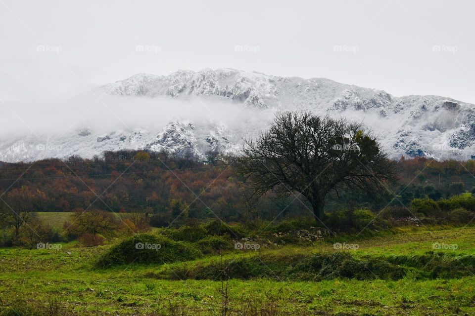 Mountains 