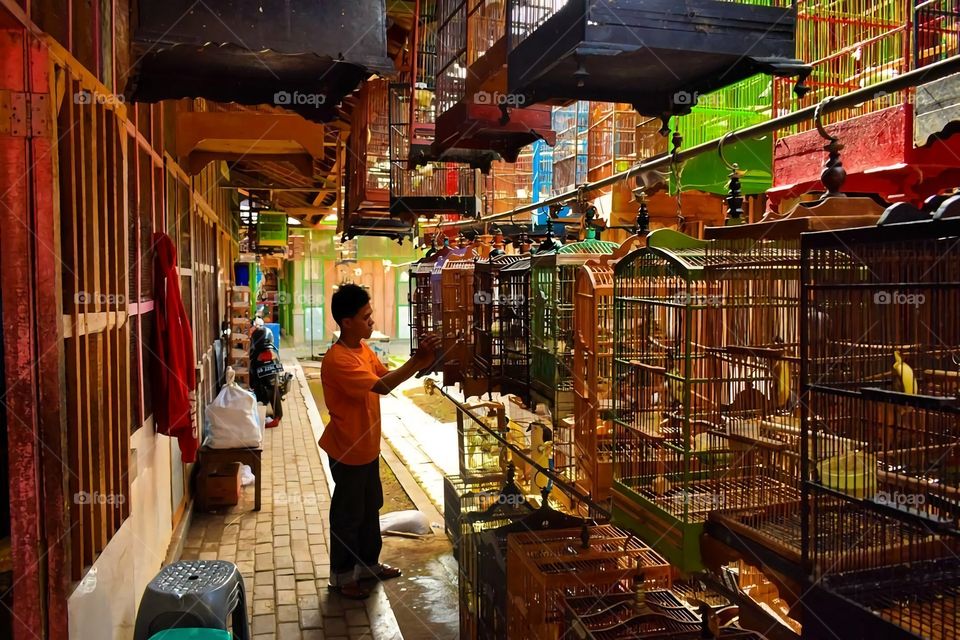 pasar burung