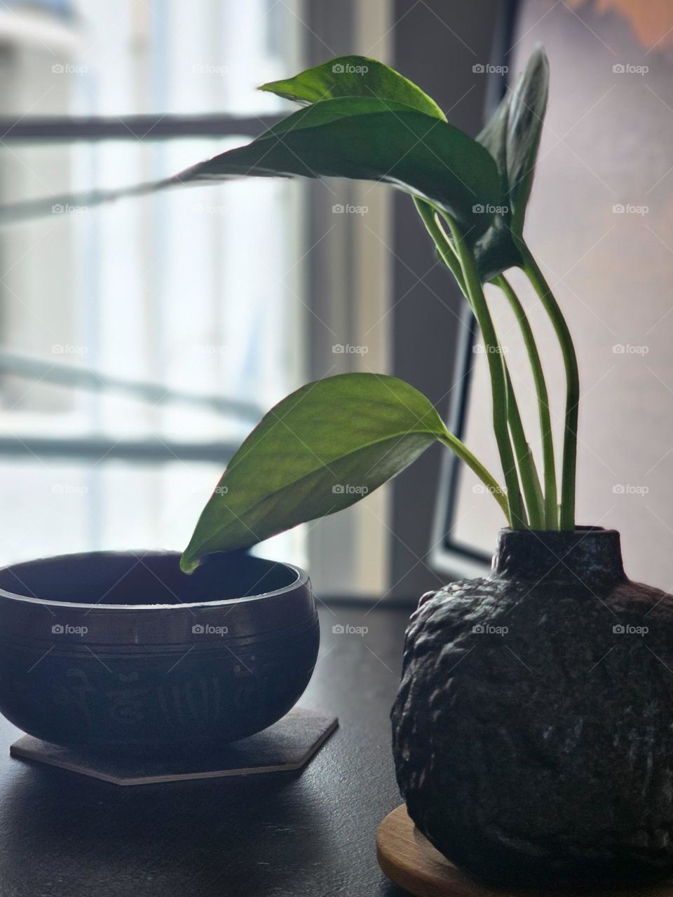 A plant and a singing bowl by the window