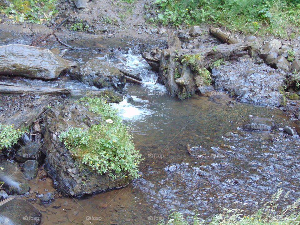 runoff from waterfall