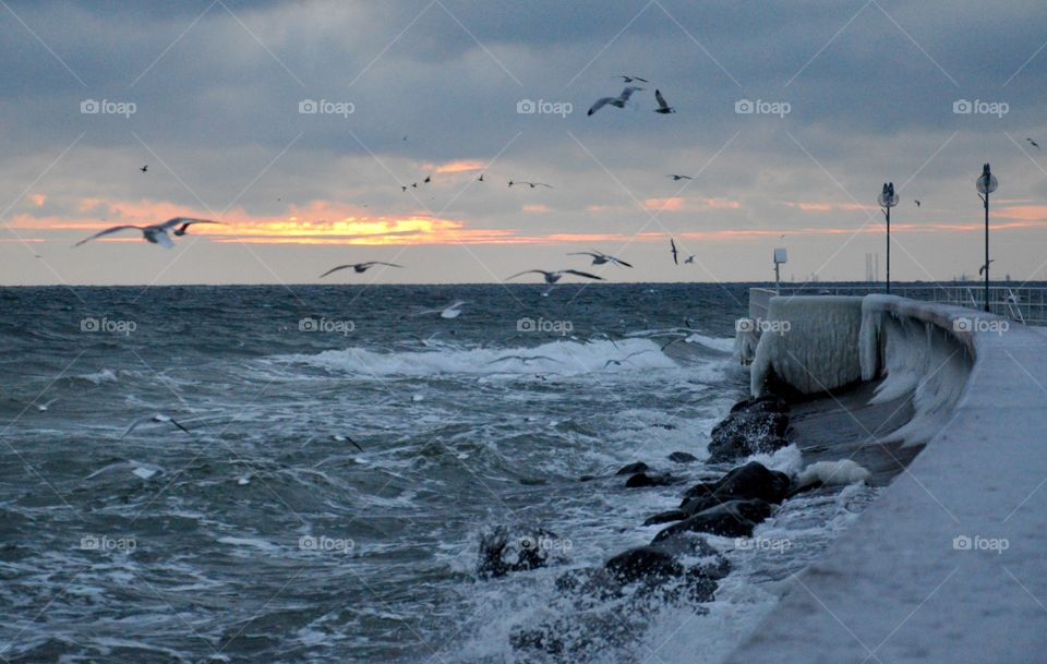 Water, No Person, Sunset, Sea, Beach