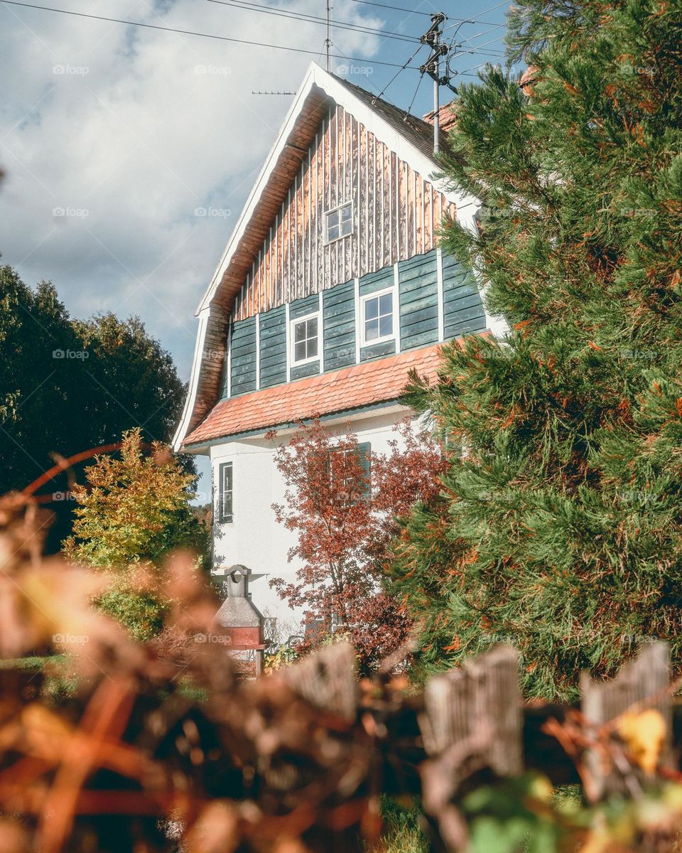 Glory of an old house 