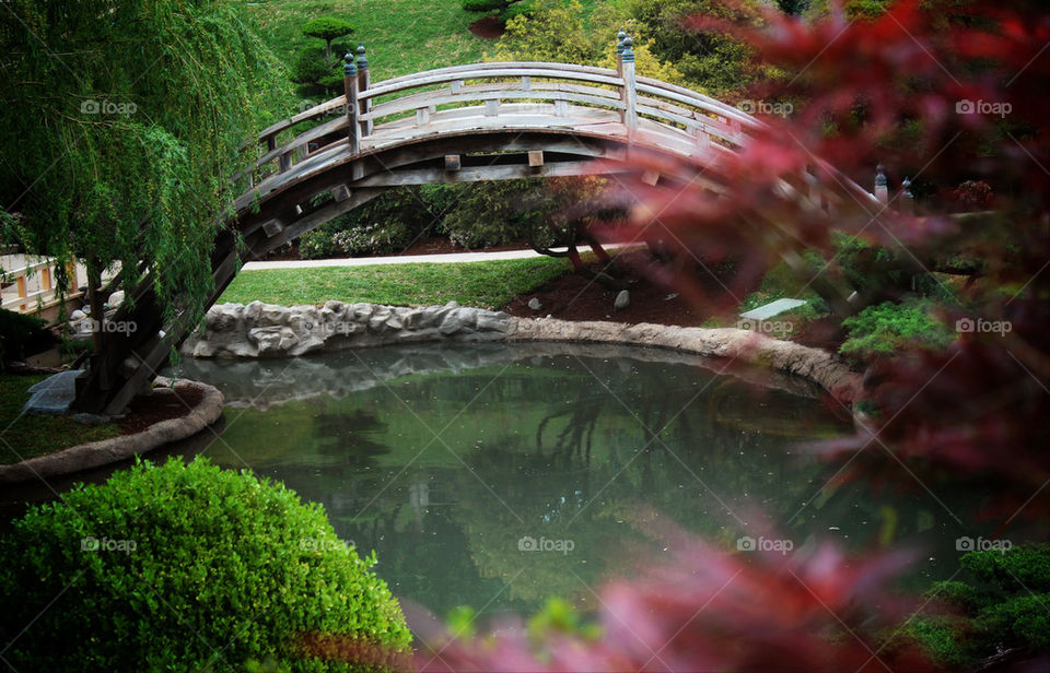 garden water japanese bridge by billgoodwin