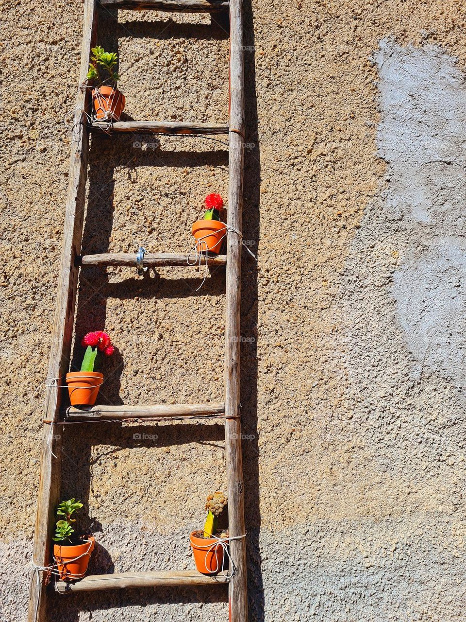 rectangular wooden staircase used as a flower box