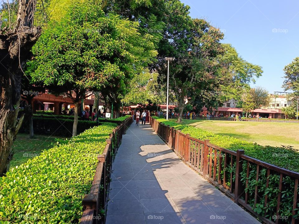 A beautiful day in nature