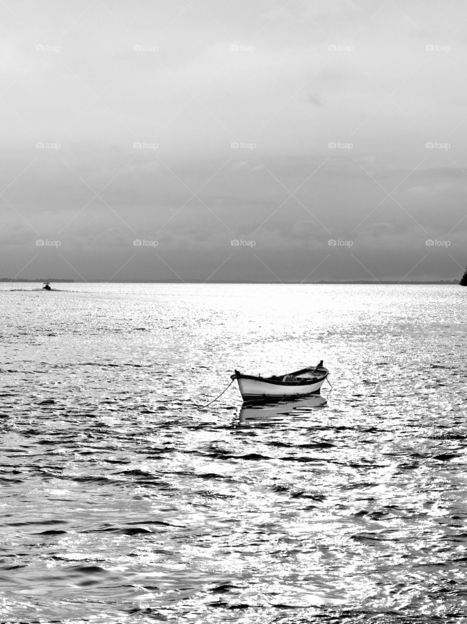 Row row row your boat. Gently to the shore. 