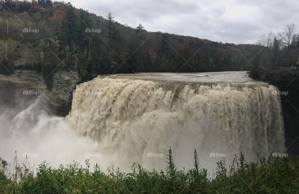 Letchworth State Park. 