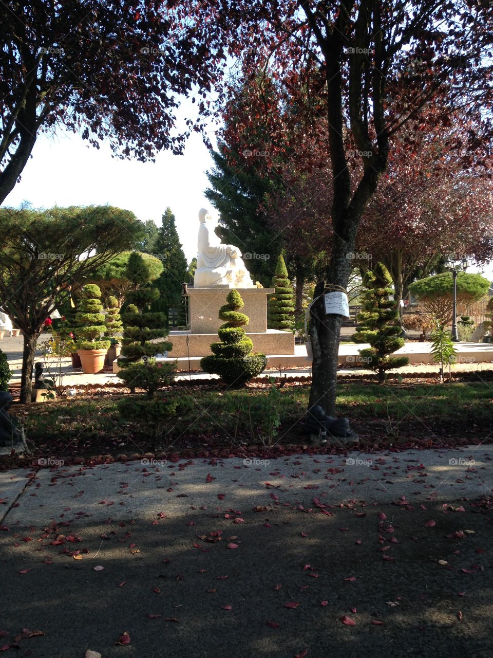 Buddha in the garden