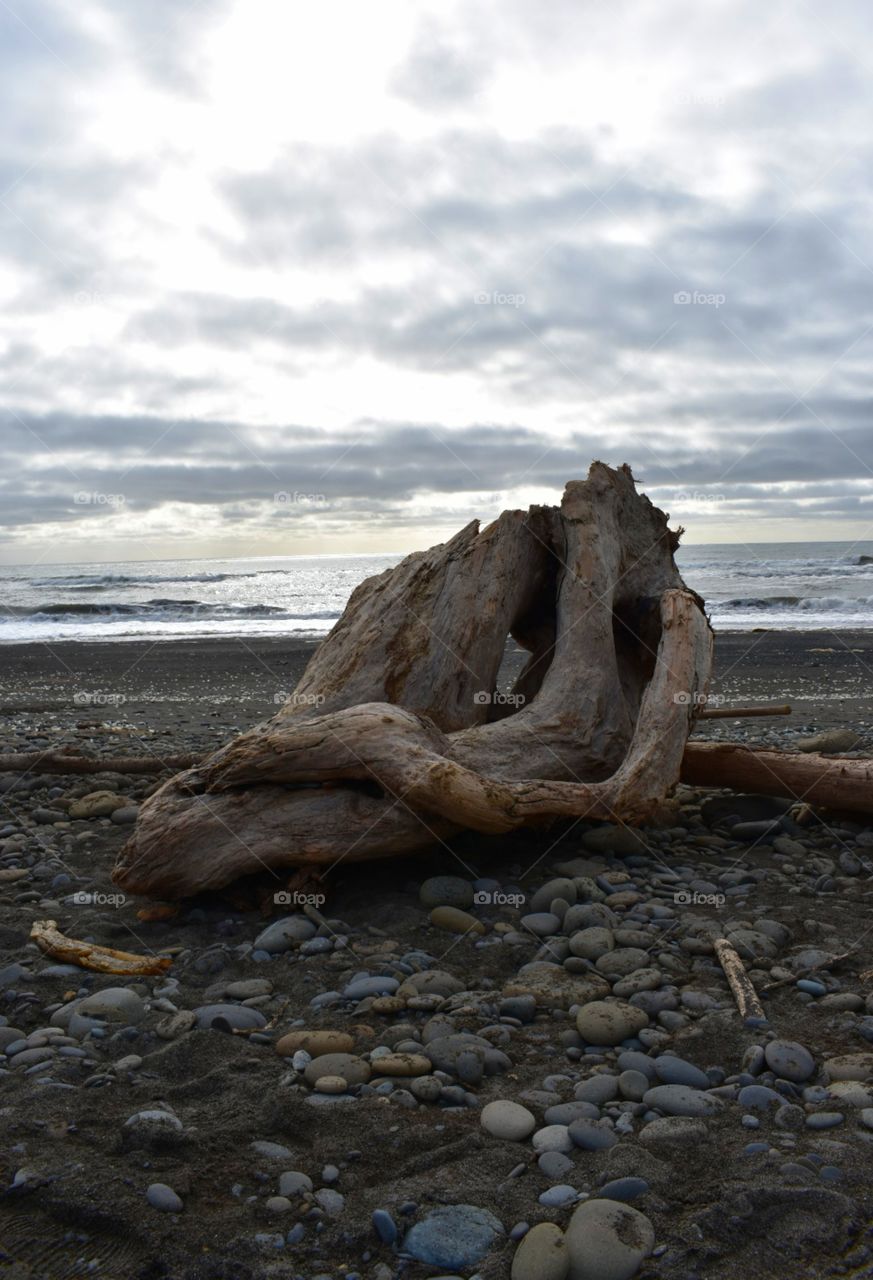 Driftwood formation.