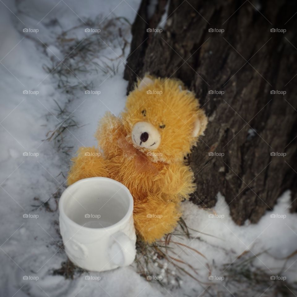 the lonely teddy