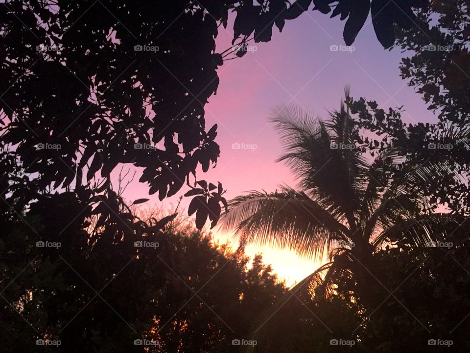 Beautiful hike through the jungle