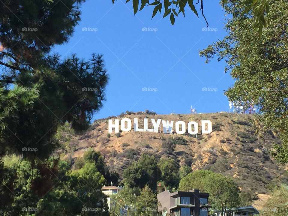 Welcome to Hollywood 