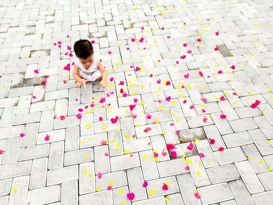 he playing with flowers