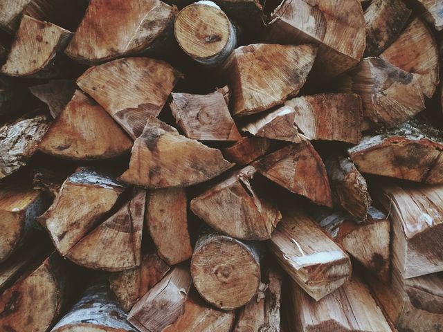 cut tree