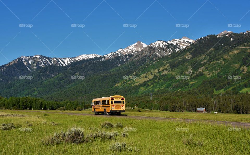 School bus in the mountain