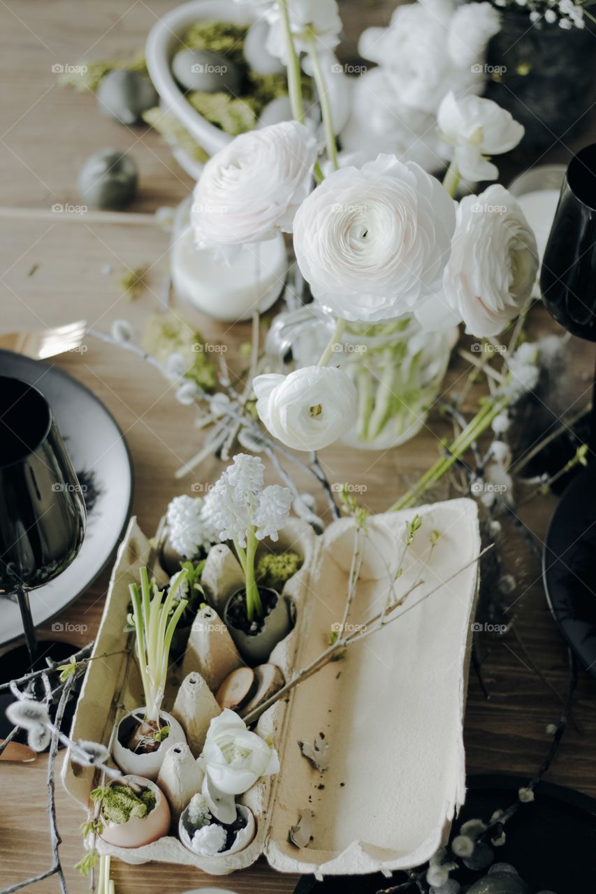 Easter table decorated with dyed grey eggs, ranunculuses in a glass case, with egg shells and flowers in it and with black modern plates and glasses