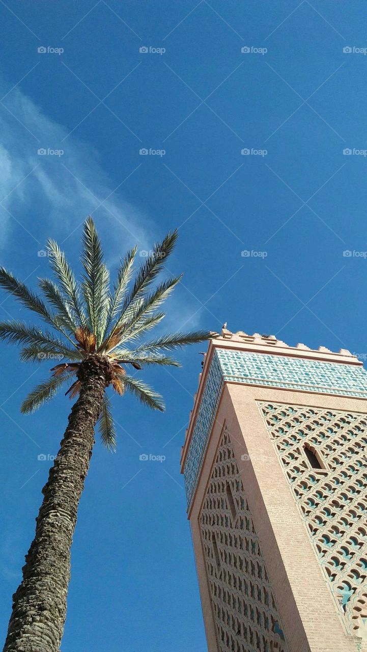 Minaret mosque and beautiful palm tree