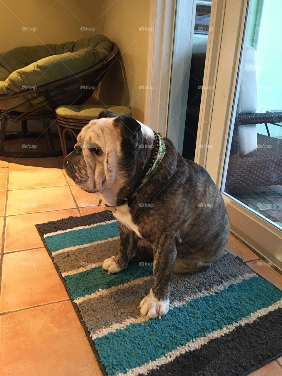 Sweetest animal ever