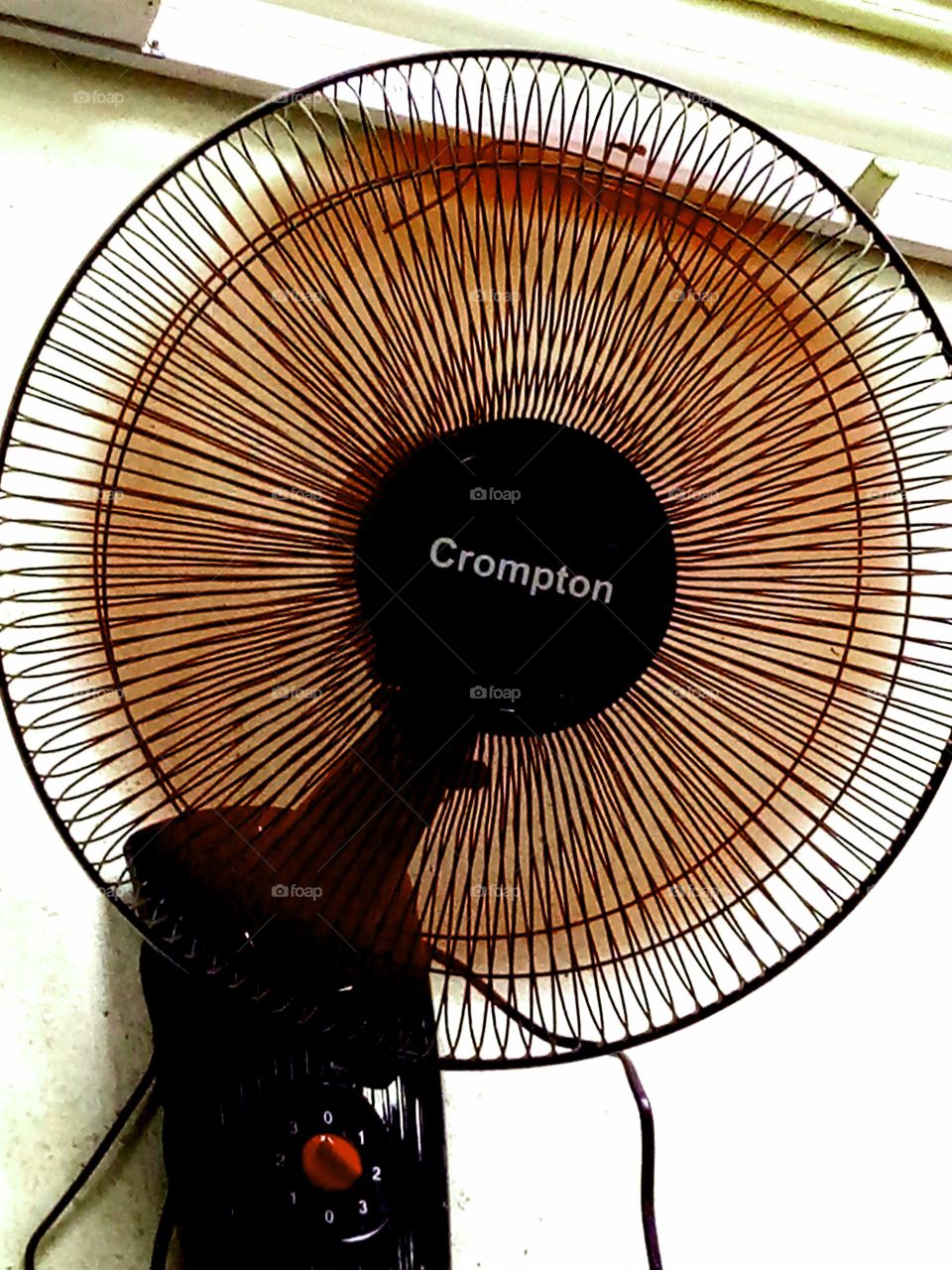 color in fan