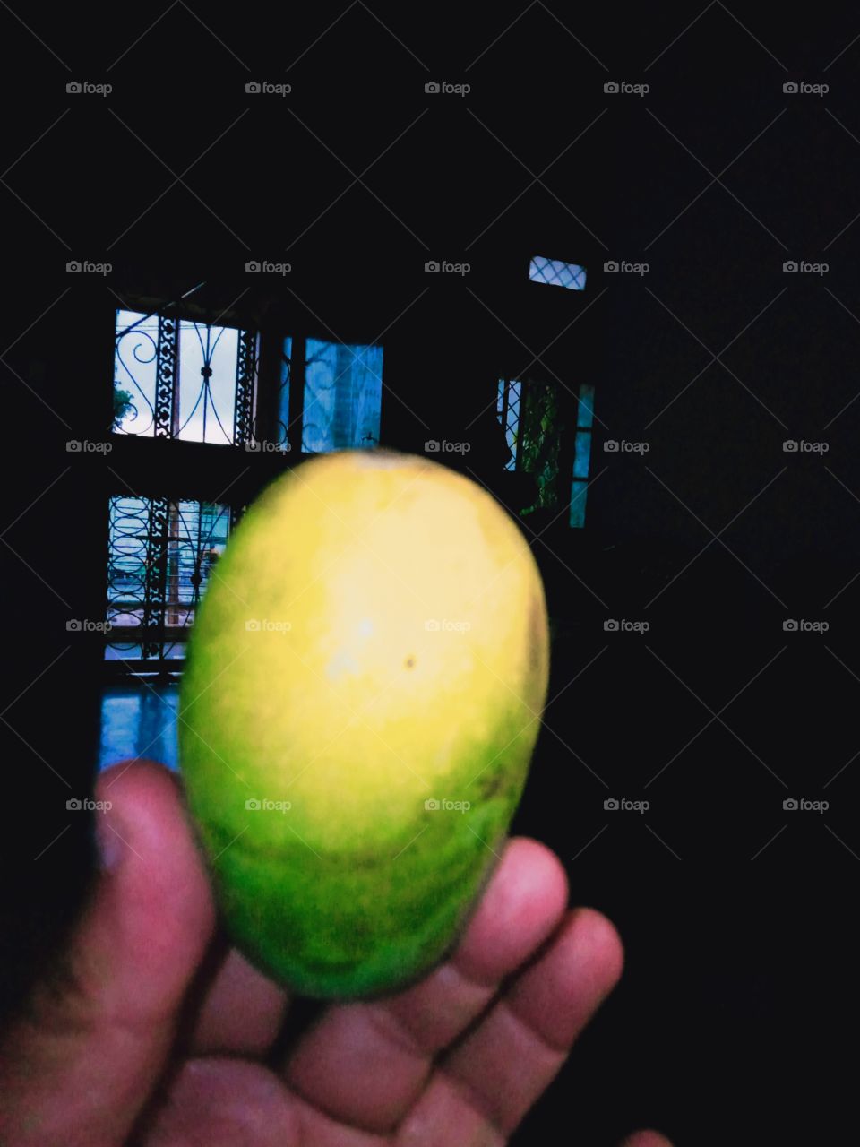 Mango:the king of all fruits