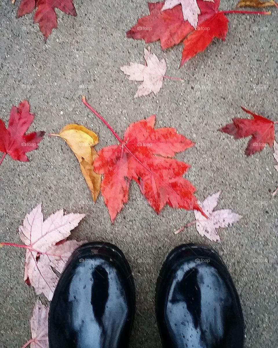 Autumn Leaves In The Rain