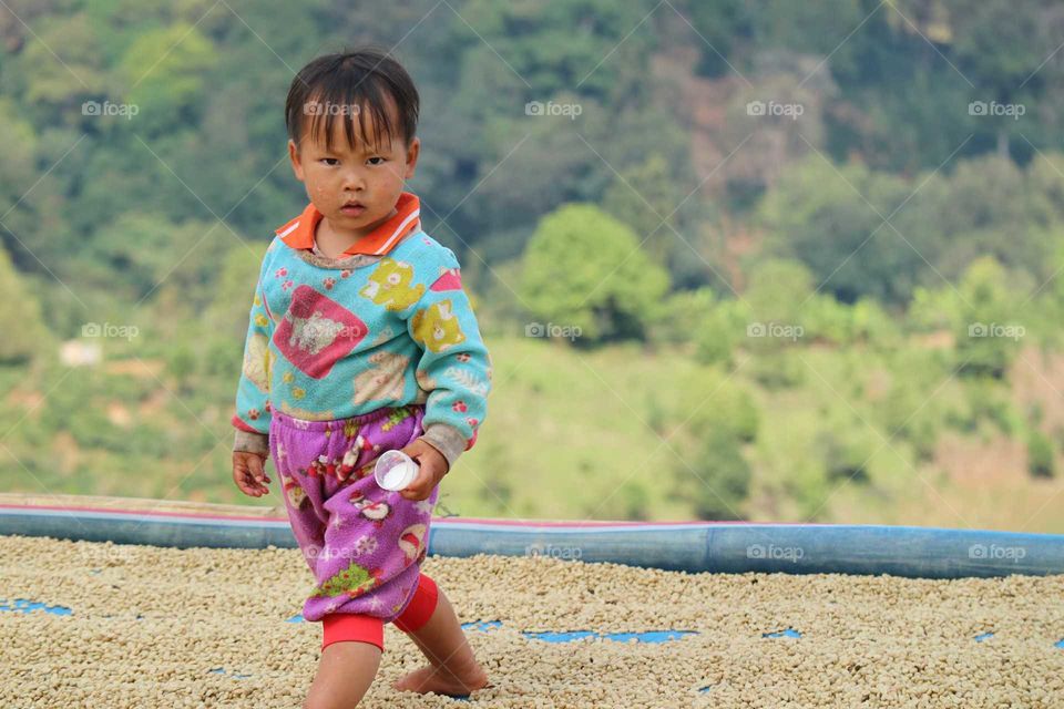 Little boy on the coffee beans