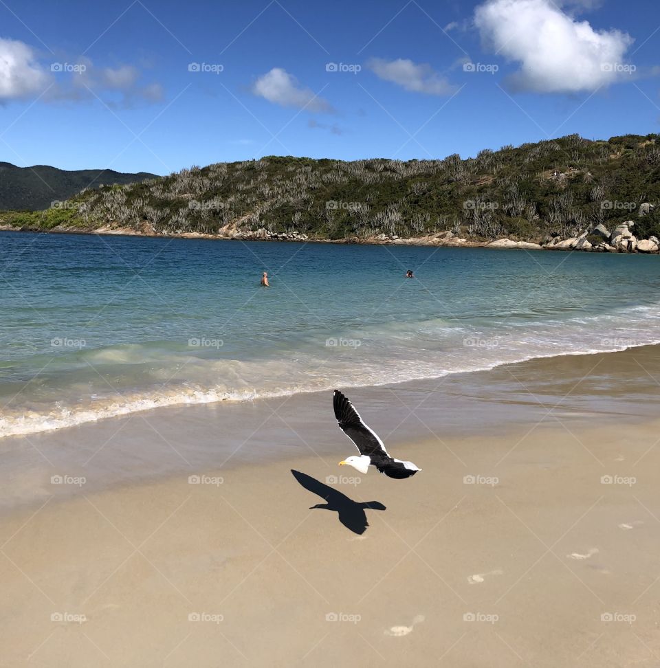 Voo. Arraial do Cabo. Brasil. RJ