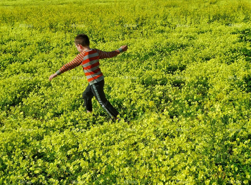 Boy Running Through Wildflowers 