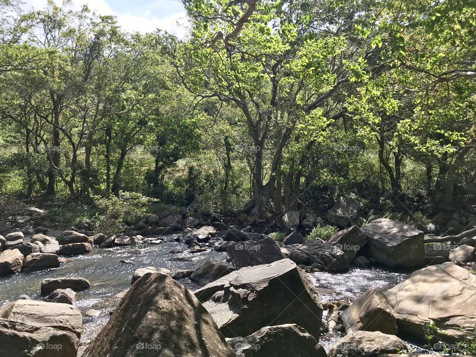 Naturally beautiful river surrounded by lush green.