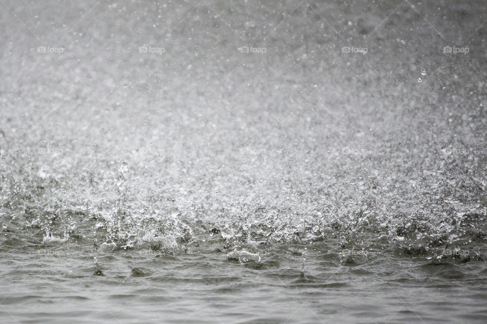 Close-up of water drop during rainy season
