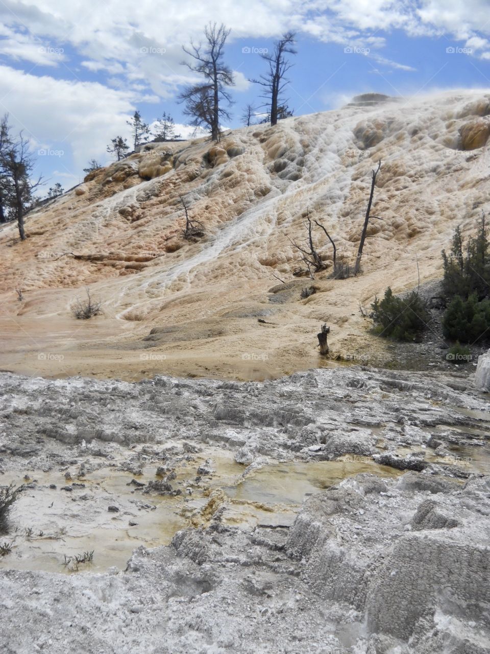 Mammoth Hot Springs, Yellowstone National Park, North WY