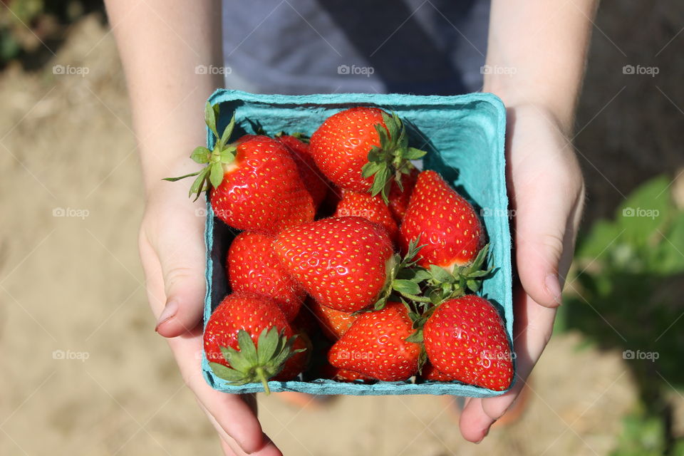 Hand holding strawberry box