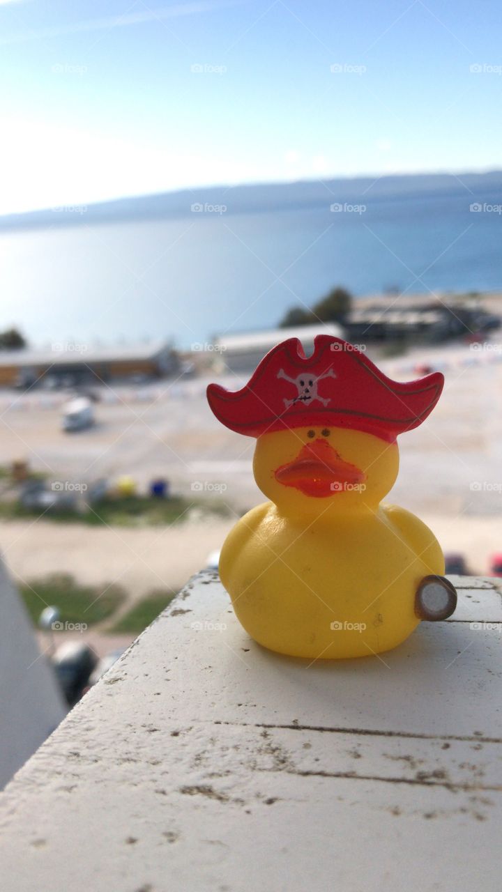 Duck pirate