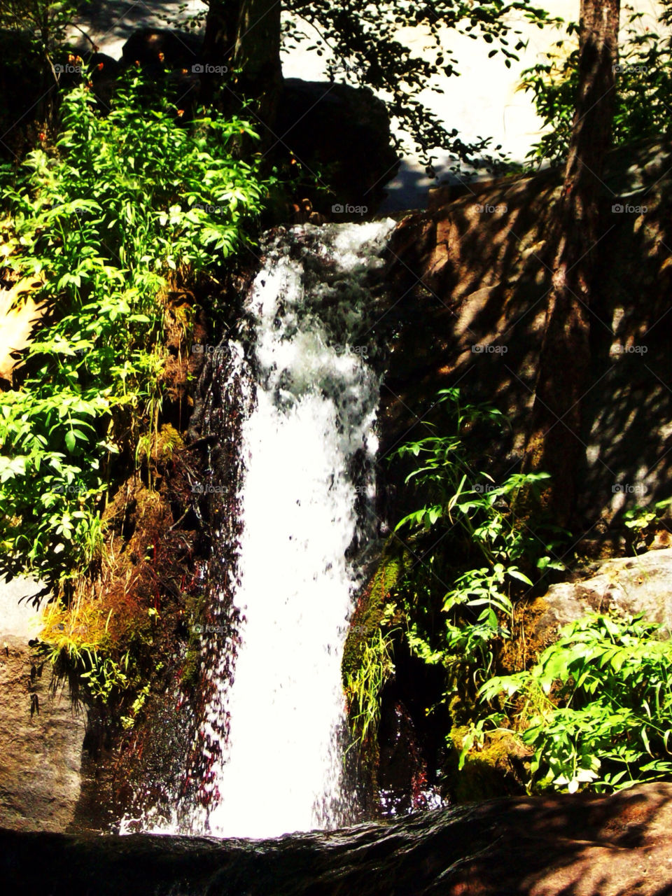 waterfall california sequoia by mjf101471