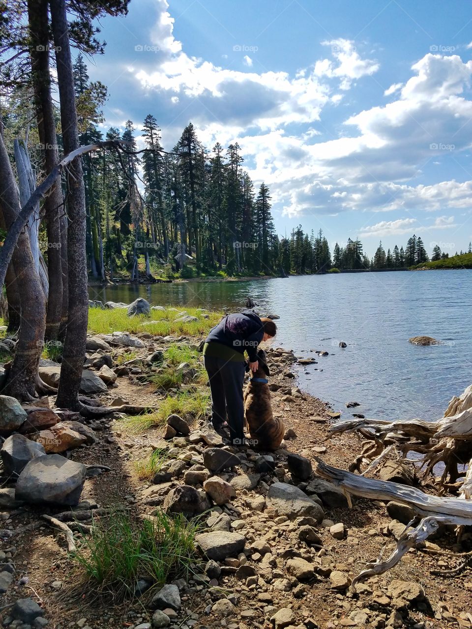 Thor, getting some love from mom up in the Sierras!