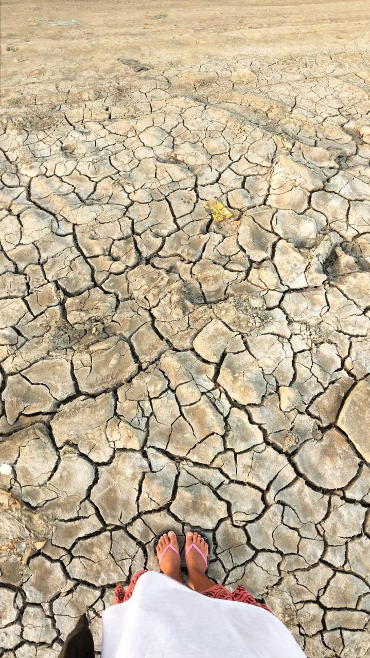 Dried ground 