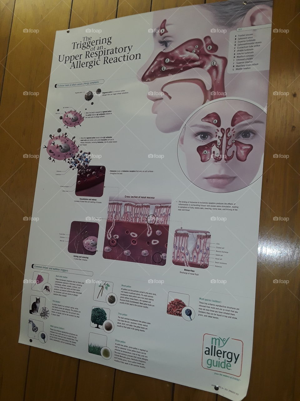 medical poster
